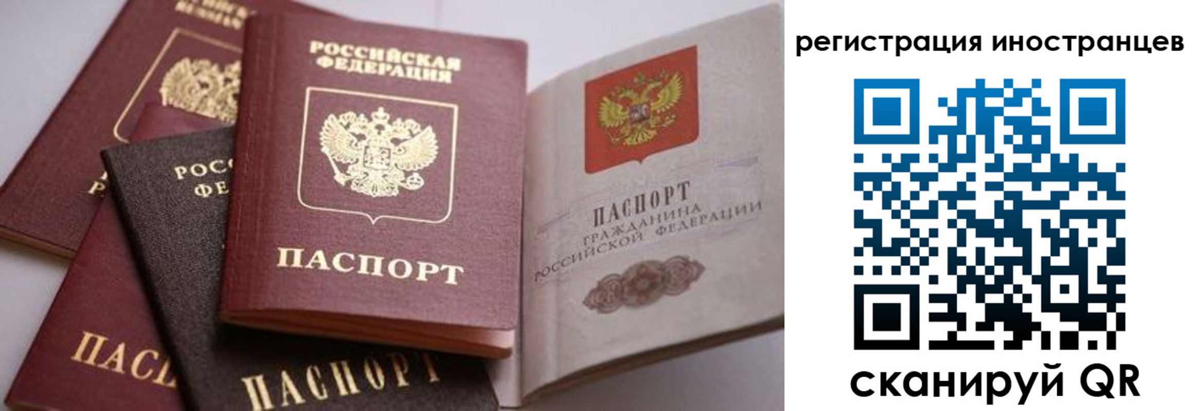прописка штамп в Козловке